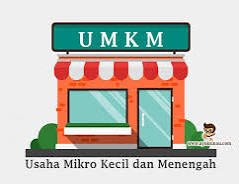 Pemprov Riau Dorong Investasi Berkontribusi pada Pengembangan UMKM Disabilitas