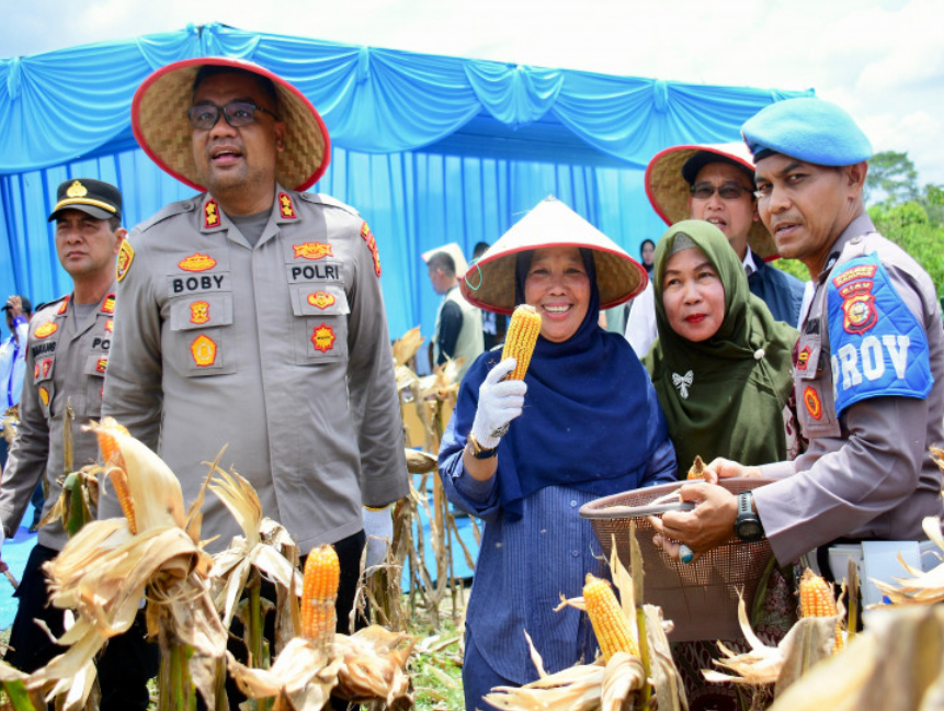 Bupati Kampar diwakili Kadis Pertanian Nur Ilahi Ali Laksanakan Panen Raya Jagung Pipil Kuartal I 2026, Komitmen untuk Wujudkan Swasembada Pangan