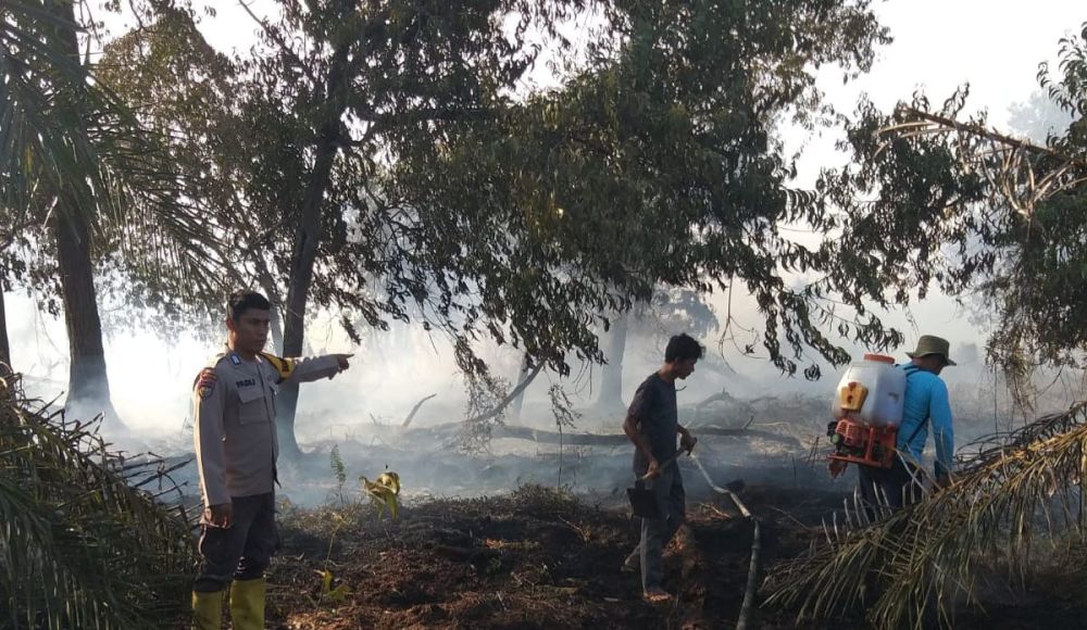 Curah Hujan Menurun, BPBD Kabupaten dan Kota Diminta Siapkan Langkah Antisipatif Cegah Karhutla